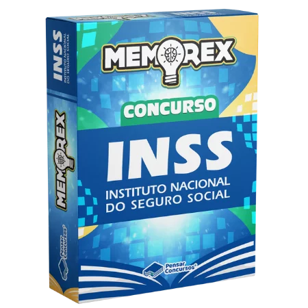 Memorex INSS