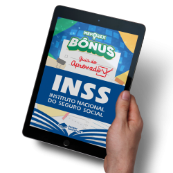 mockup_ga_inss_03